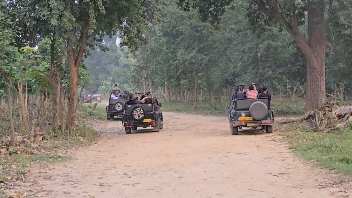 15 नवंबर से खुलेगा ढिकाला पर्यटन जोन, 21 दिसंबर तक बुकिंग फुल, पर्यटकों में जबरदस्त क्रेज